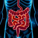 glucosamine-boosts-intestinal-p-glycoprotein,-blocking-drug-absorption