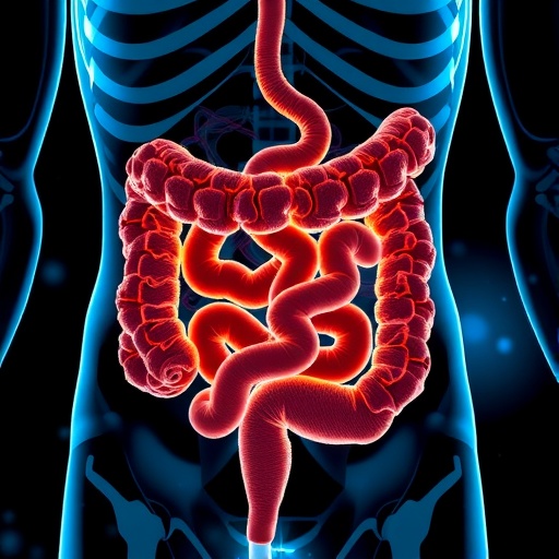 glucosamine-boosts-intestinal-p-glycoprotein,-blocking-drug-absorption