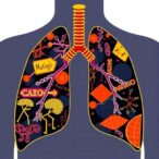 mutagenic-forces-shaping-lung-cancer-genomes