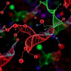 polyamines-bridge-metabolism-and-epigenetics-in-leukemia