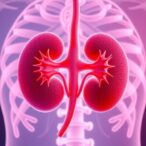 hla-divergence-drives-kidney-transplant-antibody-rejection