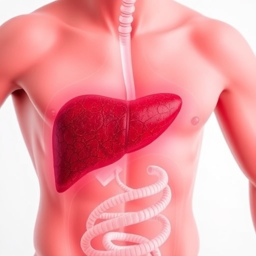 basal-metabolic-rate-influences-liver-cancer-progression
