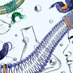 sting-inhibition-differences-revealed-between-humans-and-mice