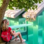 sustainable-travel-insights-from-a-pediatric-researcher