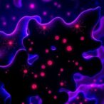 c-kit+-progenitors-drive-brown-fat-tissue-renewal