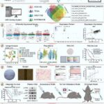 new-study-reveals-emp1-as-a-critical-driver-of-pancreatic-cancer-progression-and-prognosis