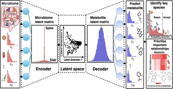 unraveling-gut-bacteria-mysteries-through-ai