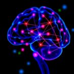 molecular-biomarkers-predicting-adult-glioma-radiosensitivity