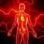 linking-body,-behavior-to-atherogenic-risk-ratio