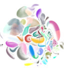 the-single-cell-club-is-rapidly-expanding