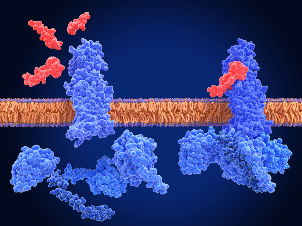 therapeutic-candidates-for-difficult-targets-emerge