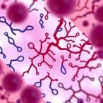 microbiome-cell-free-rna-differentiates-colorectal-cancer