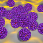 cutaneous-hpv-blocked-by-small-molecule,-opening-door-to-antivirals