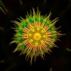 single-cell-multi-omics-atlas-illuminates-rice