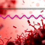 bromodomain-proteins-aid-gene-expression-during-heat-stress