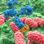 scaling-new-heights-in-continuous-biologics-manufacturing-with-the-xcell-atf-system