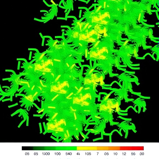 haplotype-resolved-pangenome-maps-barley-wild-relative