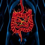 nutrients-trigger-unique-small-intestine-neuron-patterns
