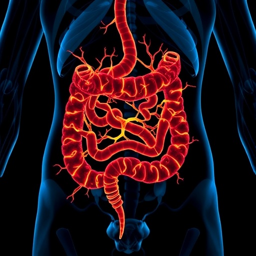 nutrients-trigger-unique-small-intestine-neuron-patterns