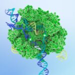 center-for-pediatric-crispr-therapies-founded-by-igi,-czi