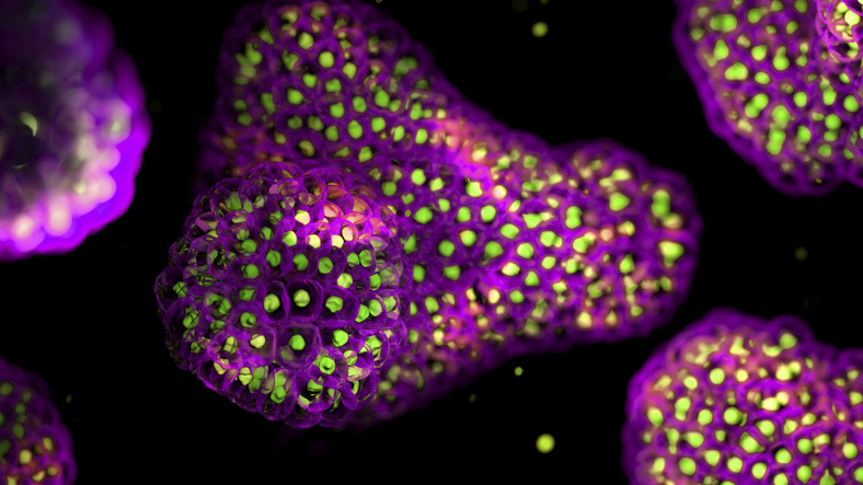 recent-nam-guidelines-provide-much-needed-step-toward-a-more-productive-biotech-industry