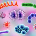rapid-pathogen-detection-in-low-resource-settings-using-open-source-rt-lamp-assay