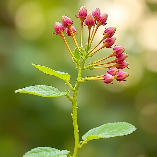 flowering-plant-gene-regulation:-recruitment,-rewiring,-conservation