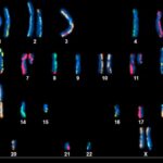 nist-releases-pancreatic-cancer-panacea-of-genomic-content