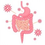 non-antibiotics-weaken-gut-defense-against-pathogens