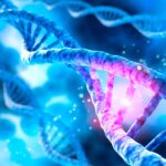 about-face:-sarepta-to-pause-elevidys-shipments-temporarily