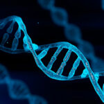 nearly-complete-human-genomes-reveal-complex-genetic-variation
