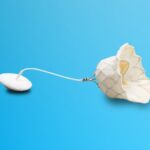 abbott-eyes-structural-heart-gains-following-boston-scientific’s-tavr-exit