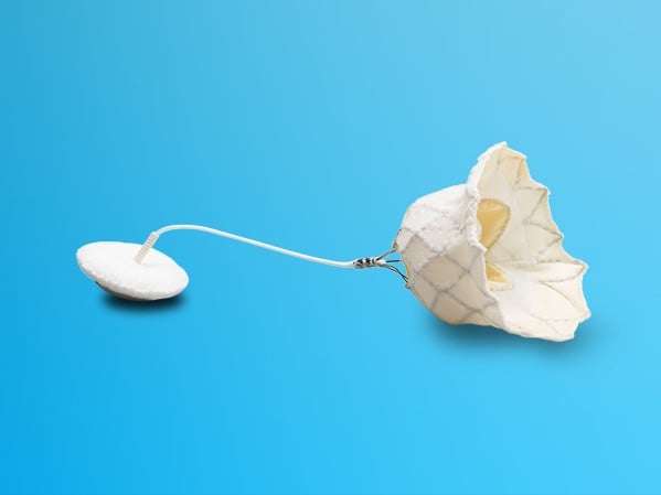 abbott-eyes-structural-heart-gains-following-boston-scientific’s-tavr-exit