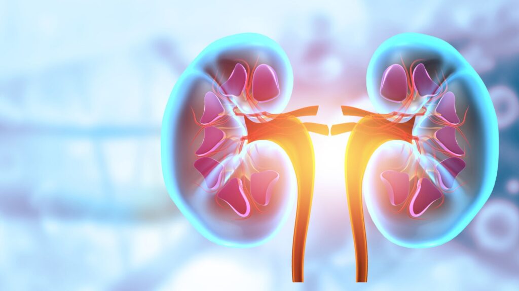 memo-pushes-kidney-drug-to-phase-3-despite-primary-endpoint-miss