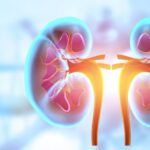 memo-pushes-kidney-drug-to-phase-3-despite-primary-endpoint-miss
