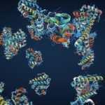 protein-core-stability-rules-open-door-for-faster-protein-design
