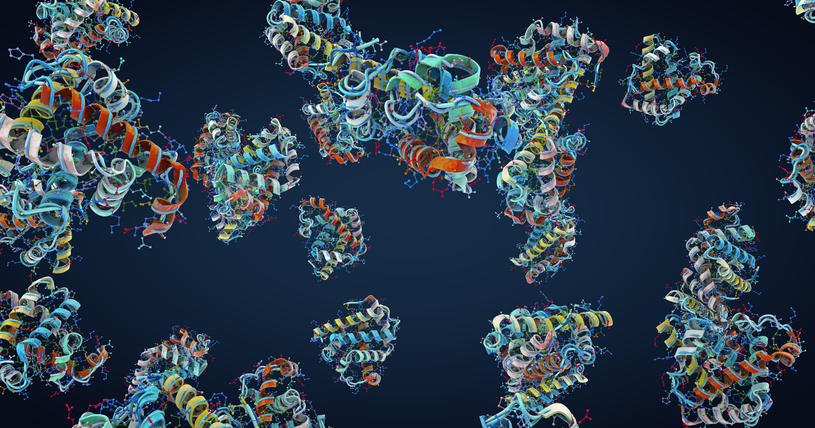 protein-core-stability-rules-open-door-for-faster-protein-design