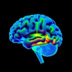 distinct-nigral-and-cortical-pathways-in-parkinson’s-model