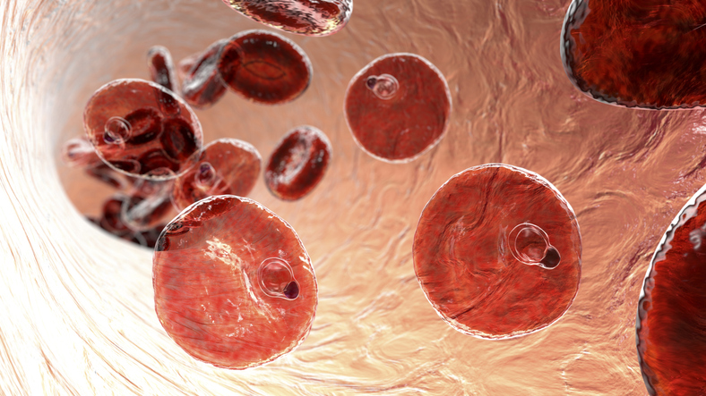 mass-administration-of-ivermectin-slows-malaria-transmission-in-kenya