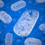 mitophagy-mechanism-unlocks-therapy-path-for-parkinson’s-disease