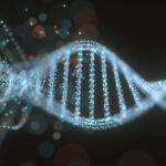 sarepta-to-resume-shipping-dmd-gene-therapy-to-ambulant-patients