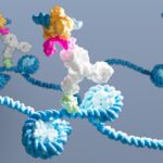 tf-binding-mapped-via-dynatag-in-single-cells,-low-input-samples