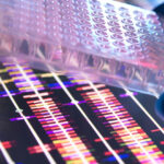 new-crisprs-to-probe-the-human-noncoding-genome-with-neville-sanjana