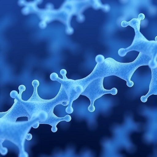 peptidoglycan-links-prevent-lysis-in-gram-negative-bacteria
