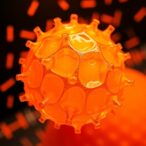 processing-environments-shape-food-related-antibiotic-resistome