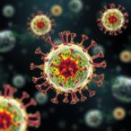 multi-proteomic-analysis-reveals-host-risks-in-vzv