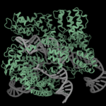 profluent’s-ai-designed-gene-editor-provides-glimpse-into-generalizable-platform