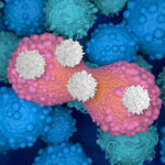 mapping-the-t-cell-exhaustion-proteome-using-trapped-ion-mobility-mass-spectrometry
