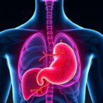 scientists-chart-path-to-halt-deadly-progression-from-liver-fibrosis-to-cancer