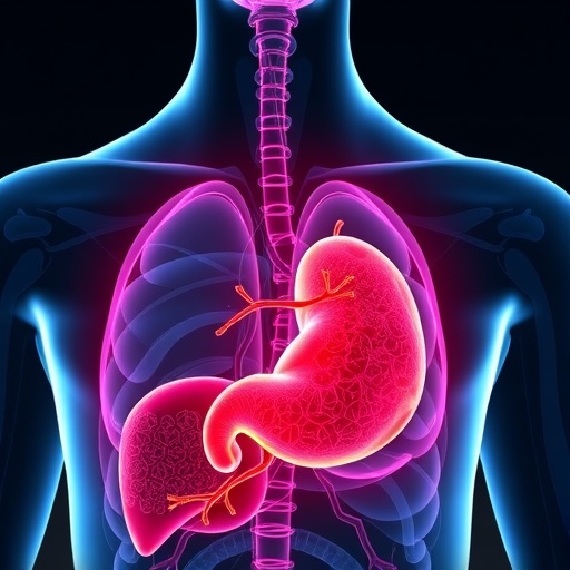 scientists-chart-path-to-halt-deadly-progression-from-liver-fibrosis-to-cancer